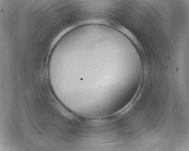 X0000079321436200612081923