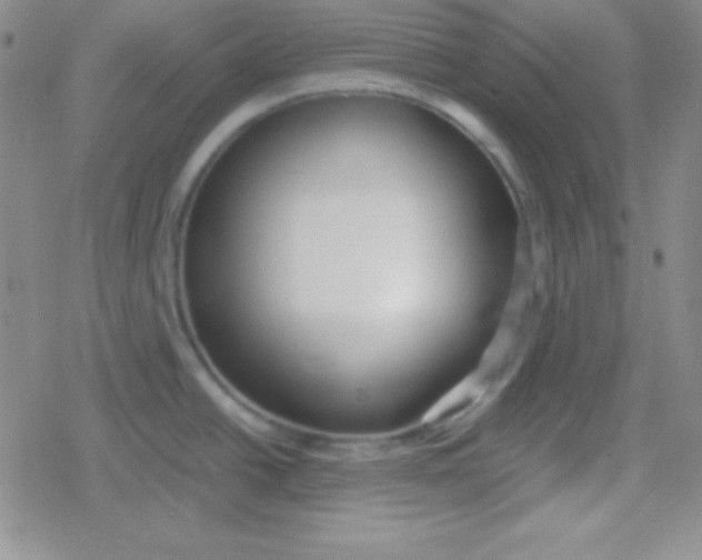 X0000079321438200612081923