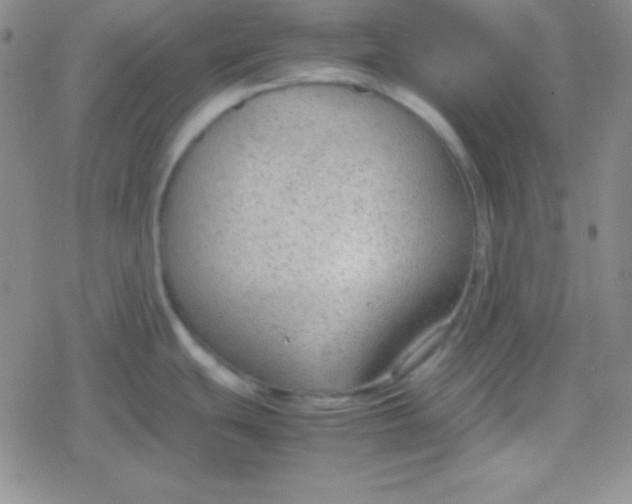 X0000079321439200612081923