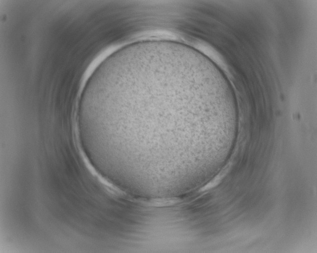 X0000079321440200612081923