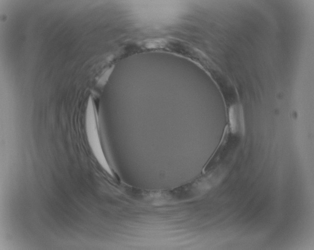 X0000079321443200612081922