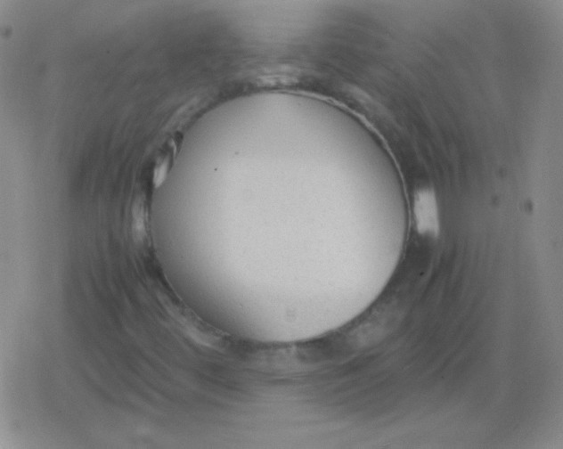 X0000079321444200612081922