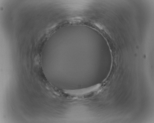 X0000079321445200612081922