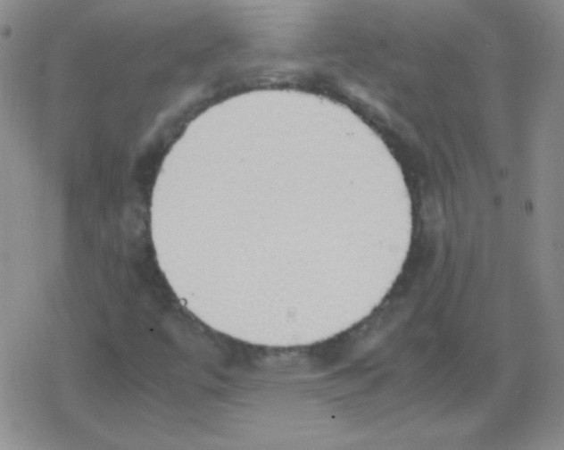 X0000079321447200612081922