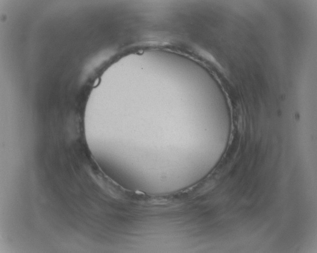 X0000079321448200612081922