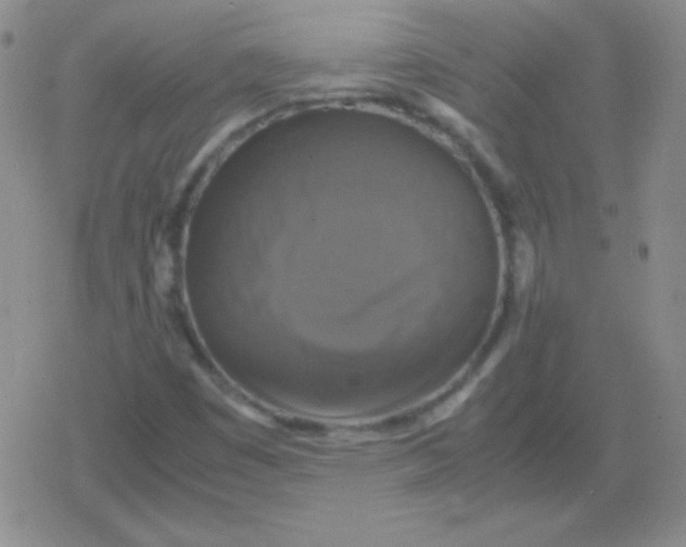 X0000079321449200612081922