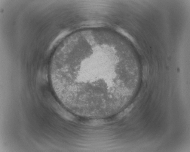 X0000079321451200612081922