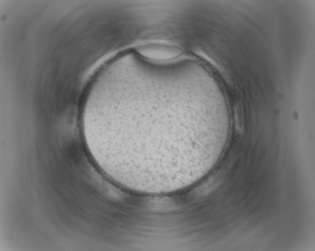 X0000079321452200612081922