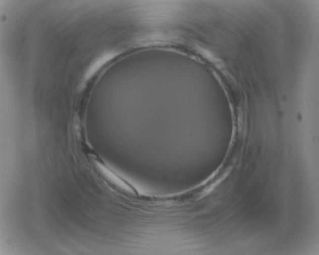 X0000079321453200612081922