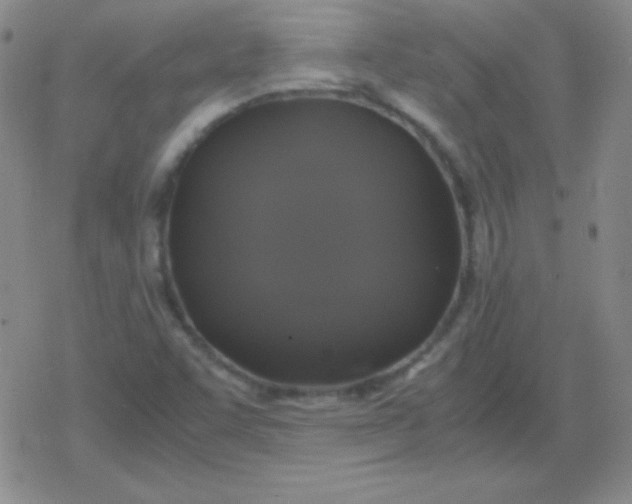 X0000079321455200612081922