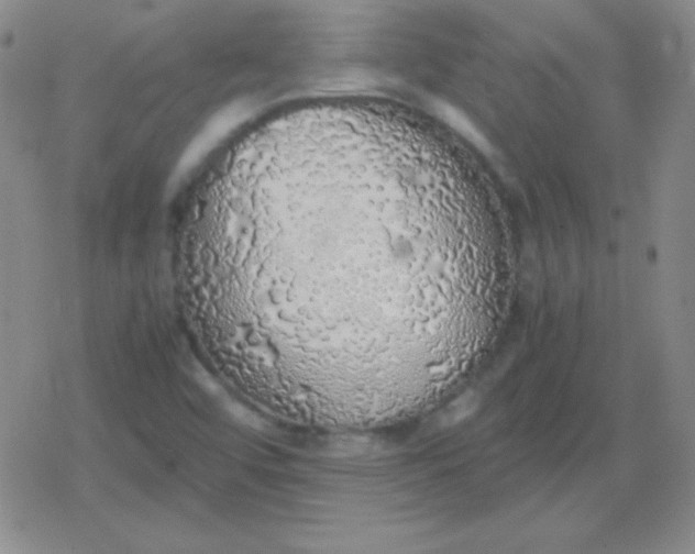 X0000079321456200612081922