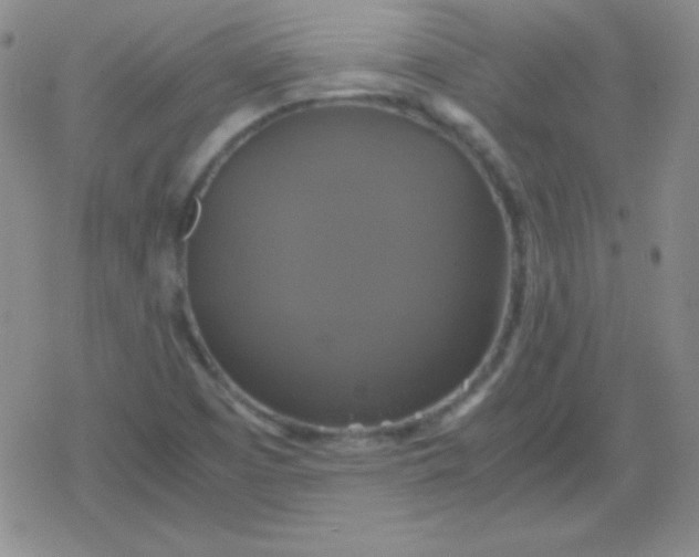 X0000079321457200612081922