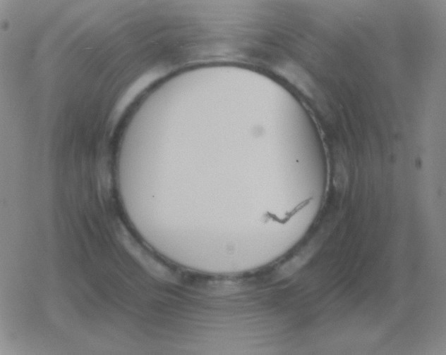 X0000079321458200612081922