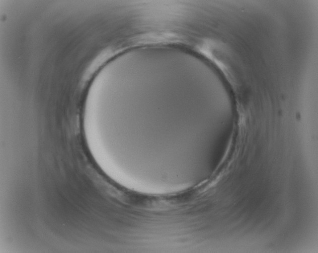 X0000079321459200612081922