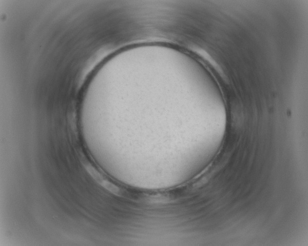 X0000079321460200612081922