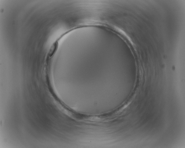 X0000079321463200612081922