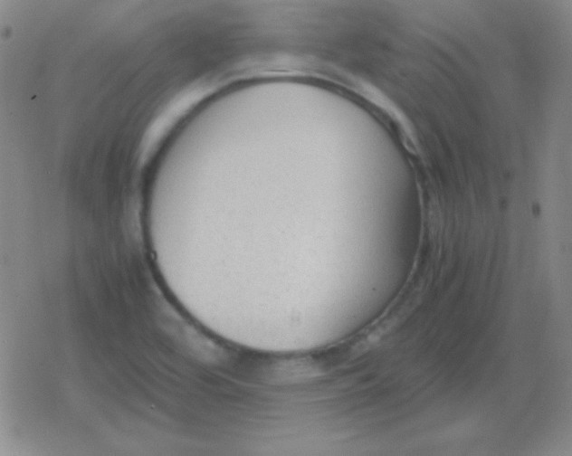 X0000079321464200612081922