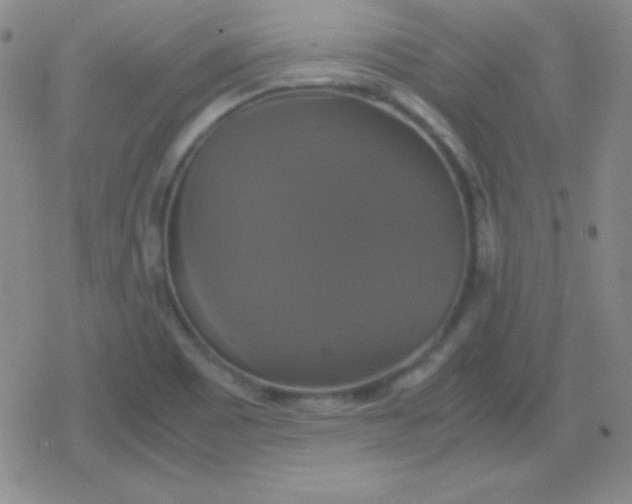 X0000079321465200612081922