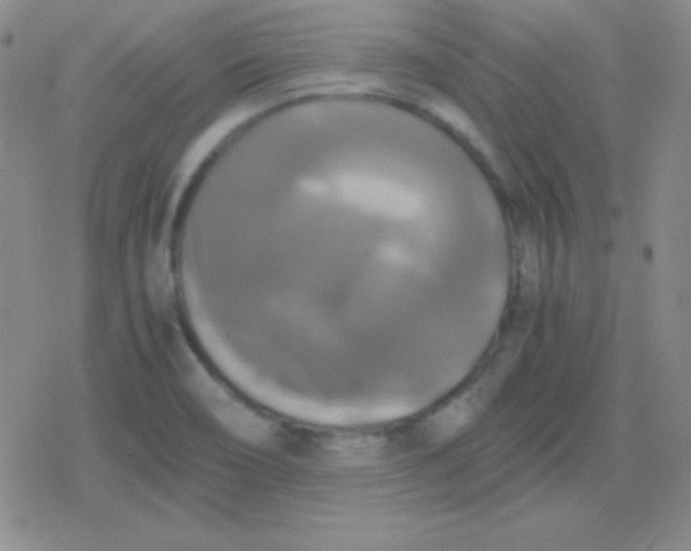 X0000079321466200612081922