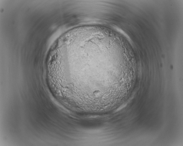 X0000079321467200612081922