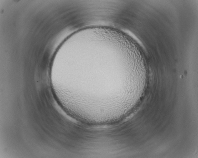 X0000079321468200612081922