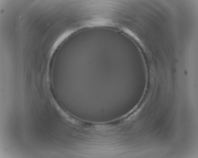 X0000079321469200612081922