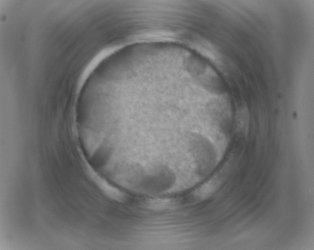 X0000079321470200612081922