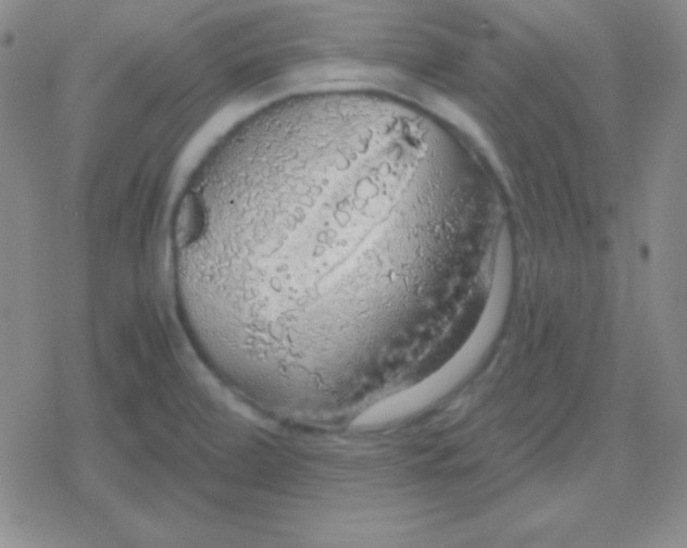 X0000079321472200612081922