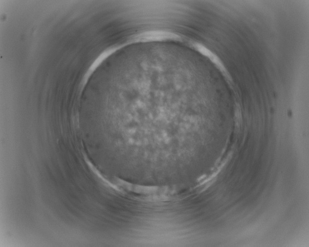 X0000079321473200612081922