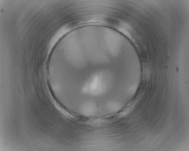 X0000079321474200612081922