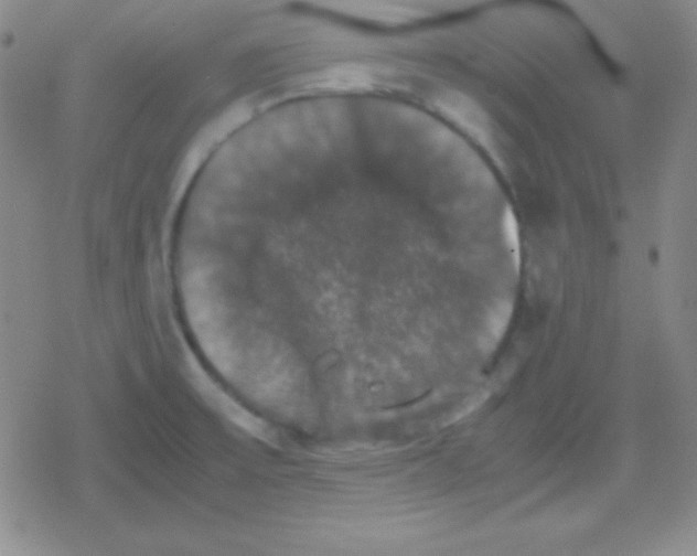 X0000079321475200612081922