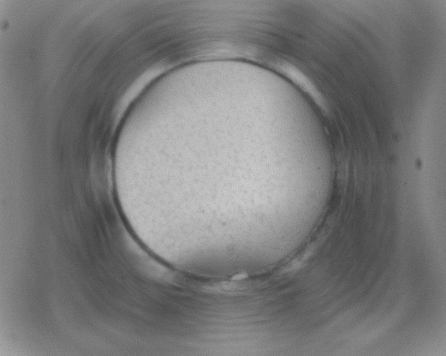 X0000079321476200612081922