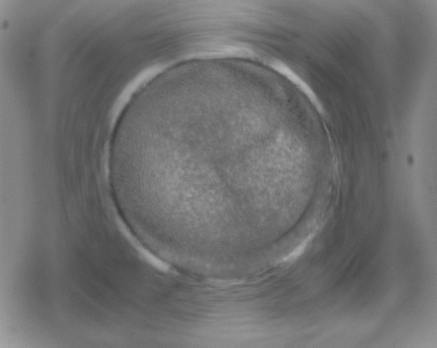 X0000079321477200612081922