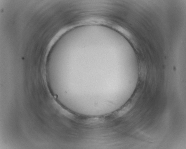 X0000079321478200612081922