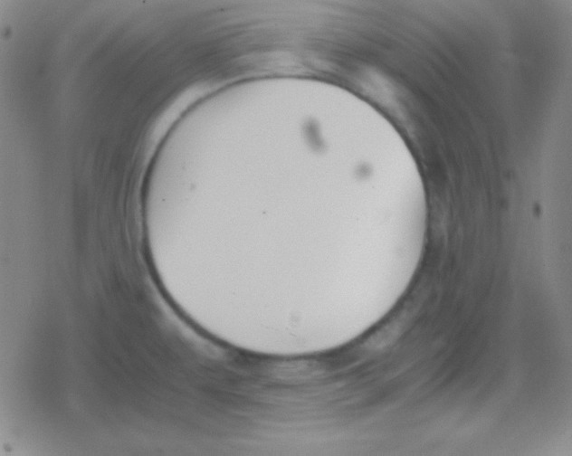 X0000079321479200612081922