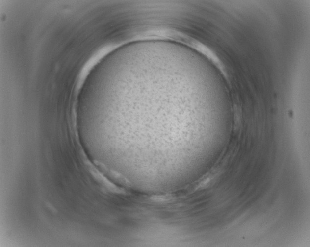 X0000079321480200612081922