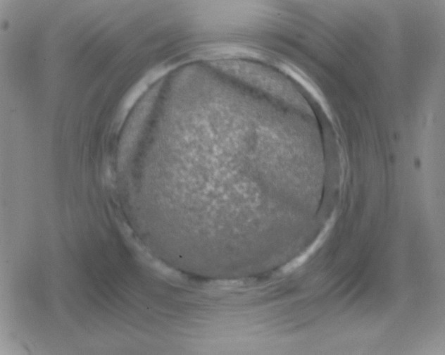 X0000079321481200612081922