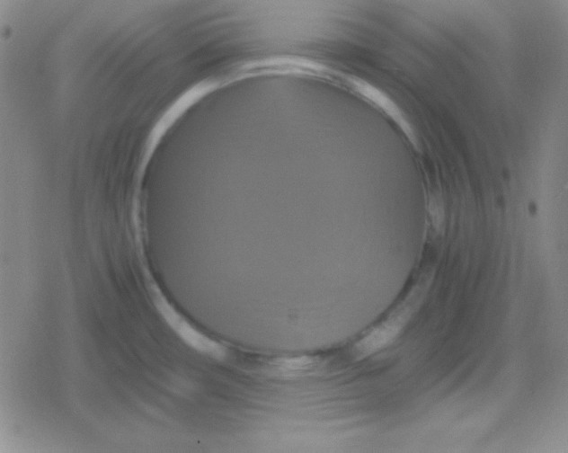 X0000079321482200612081922