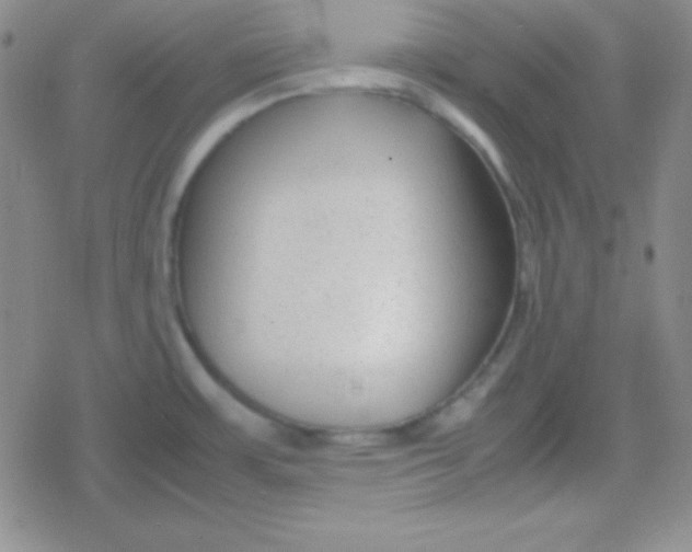 X0000079321483200612081922