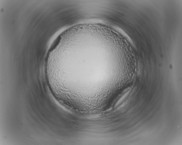 X0000079321484200612081921