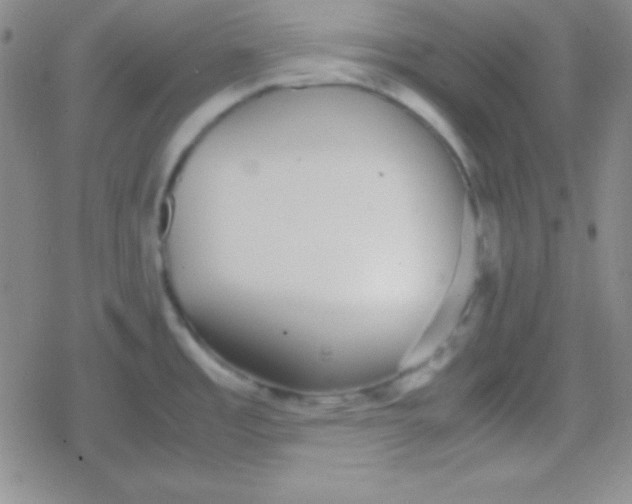 X0000079321485200612081921