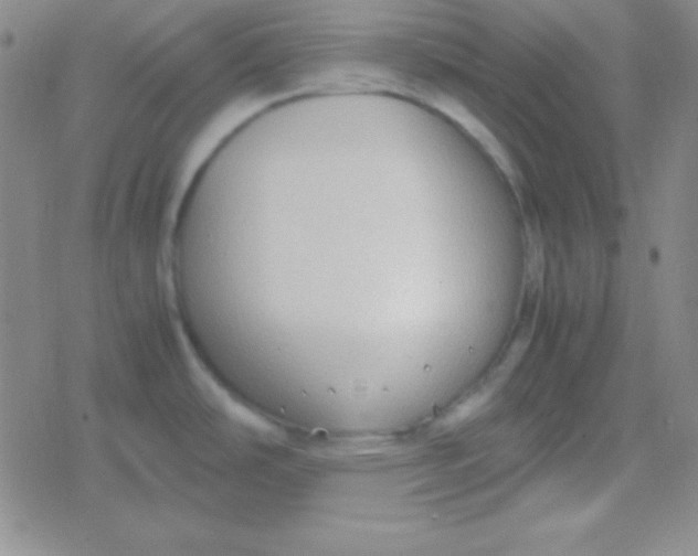 X0000079321486200612081921