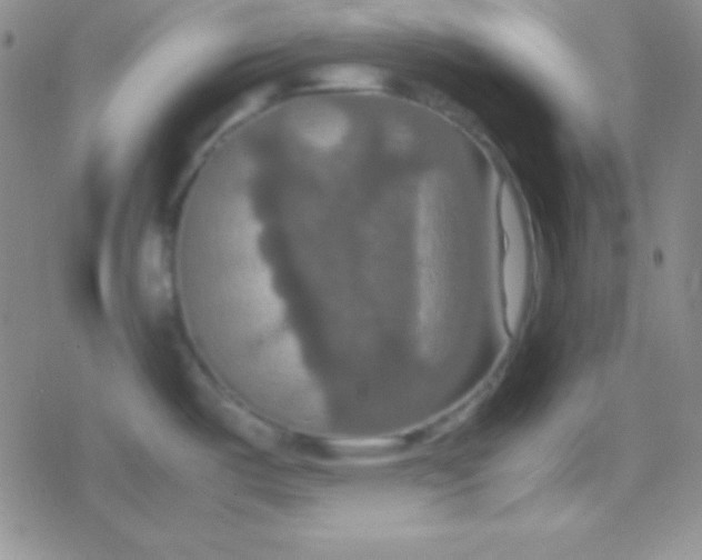 X0000079321487200612081921