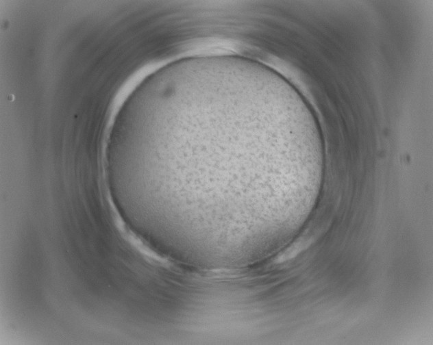 X0000079321488200612081921