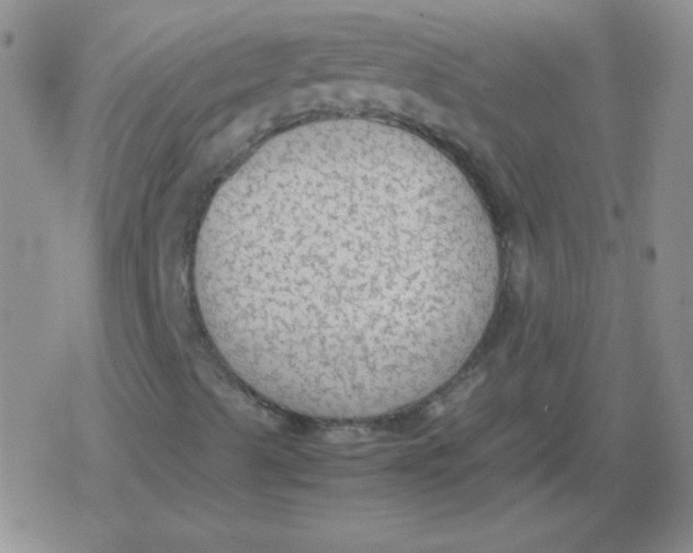 X0000079321489200612081921