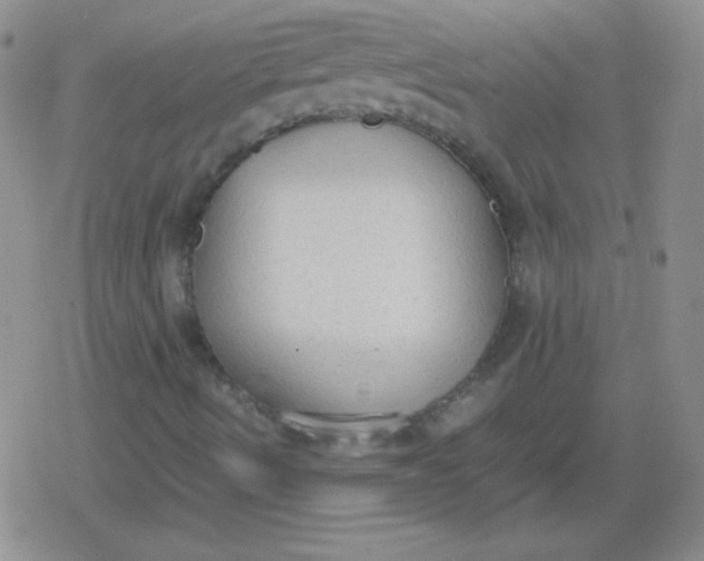 X0000079321490200612081921