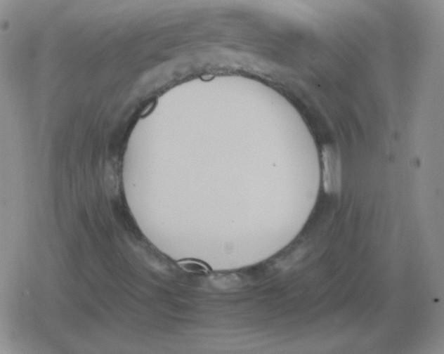 X0000079321491200612081921