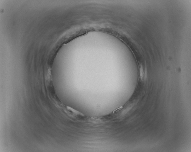 X0000079321492200612081921