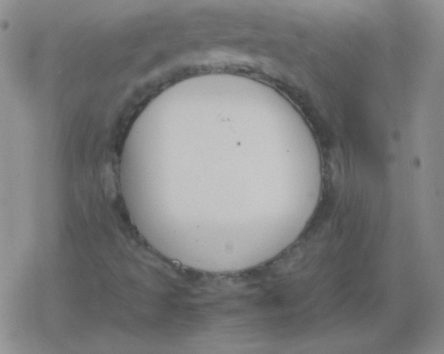 X0000079321493200612081921