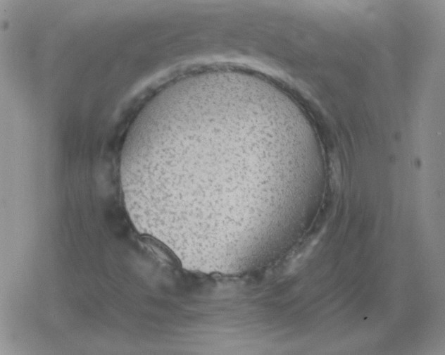 X0000079321494200612081921